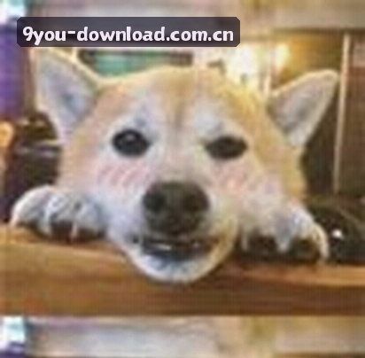 晓雯